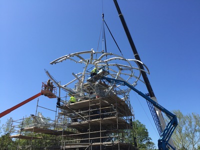 Jacksonville zoo iconic tree construction