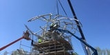 Assembling the canopy for the Jacksonville Zoo Iconic Tree project